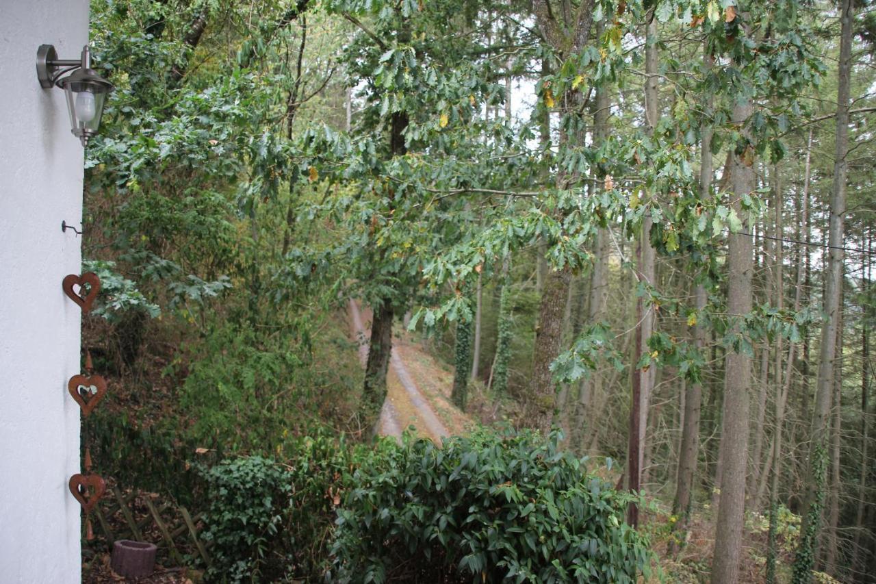 The Vianden Cottage - Charming Cottage In The Forest Ngoại thất bức ảnh