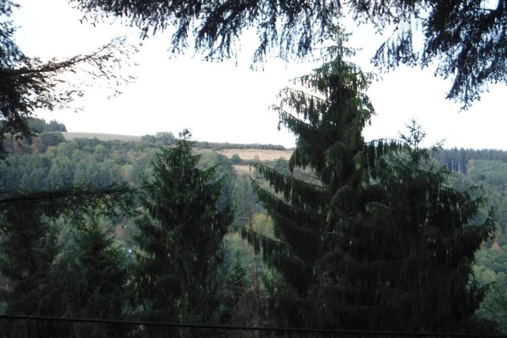 The Vianden Cottage - Charming Cottage In The Forest Ngoại thất bức ảnh