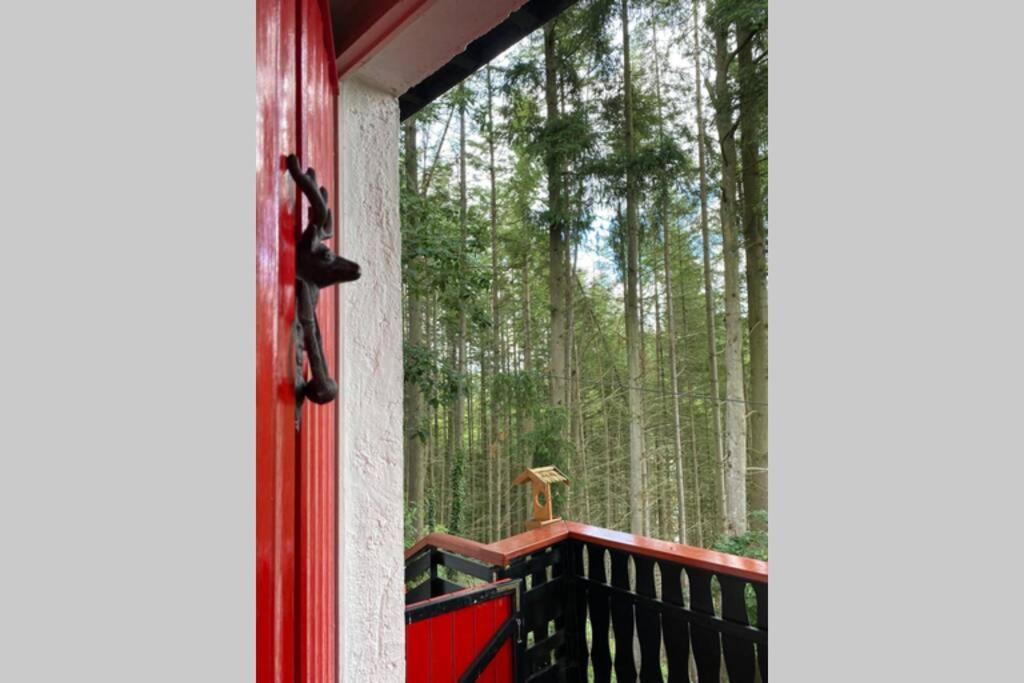 The Vianden Cottage - Charming Cottage In The Forest Ngoại thất bức ảnh